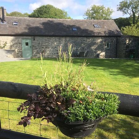 The Bakery Villa Llanddeiniol Exterior foto
