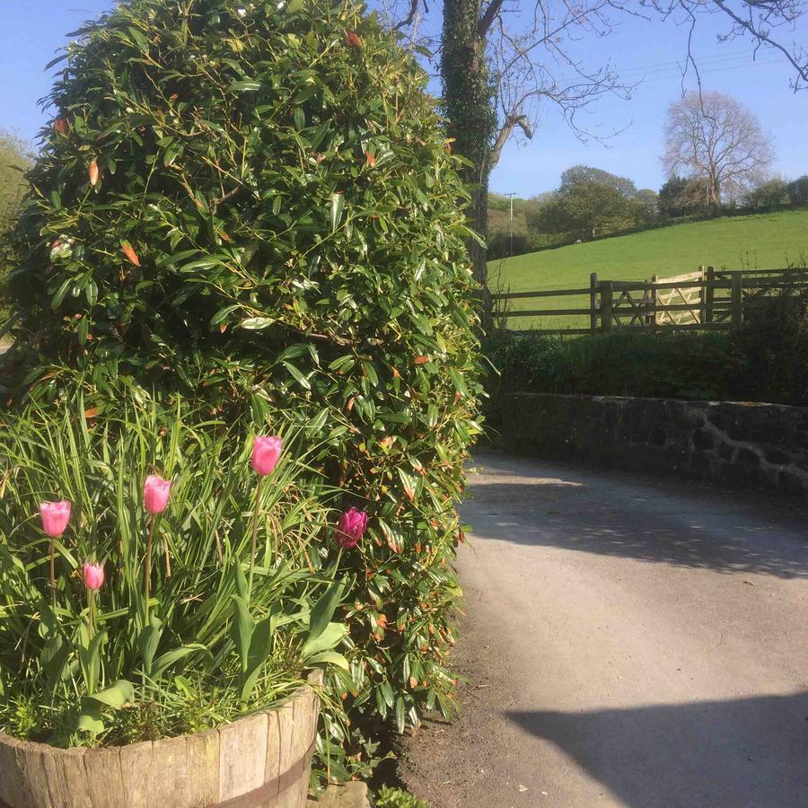 The Bakery Villa Llanddeiniol Exterior foto